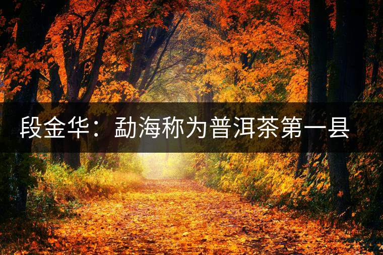 段金華：勐海稱為普洱茶第一縣的六大理由