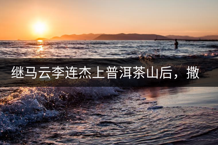 繼馬云李連杰上普洱茶山后，撒貝寧劉愷威也來了