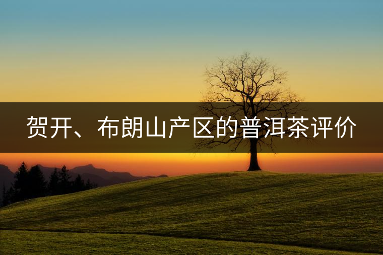 賀開、布朗山產(chǎn)區(qū)的普洱茶評價