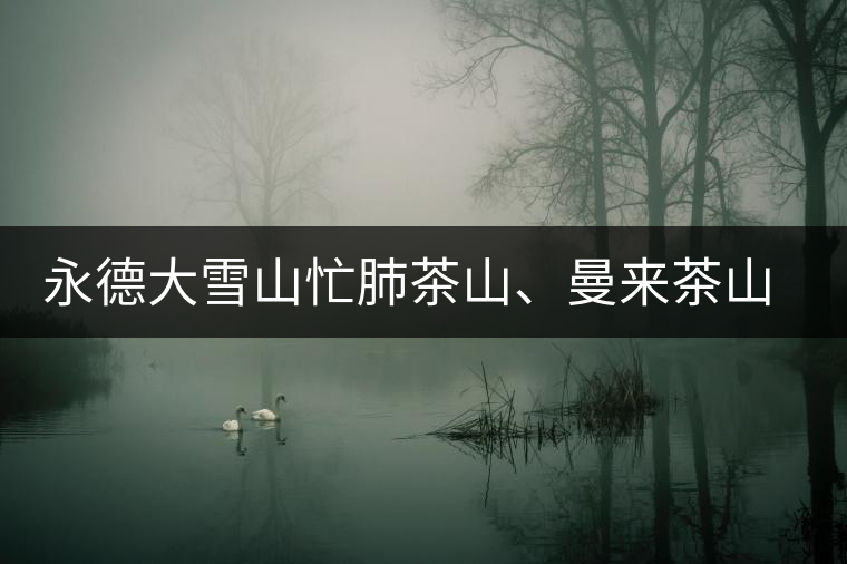 永德大雪山忙肺茶山、曼來茶山、放牛場茶園的生態(tài)指數(shù)