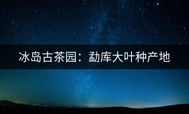 冰島古茶園:勐庫大葉種產(chǎn)地 冰島古茶園:勐庫大葉種產(chǎn)地