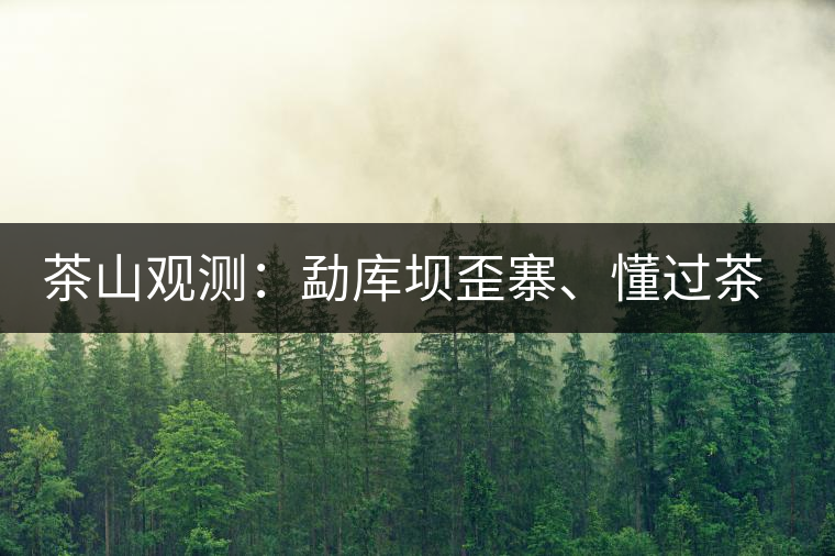 茶山觀測(cè)：勐庫(kù)壩歪寨、懂過(guò)茶山、大戶(hù)寨等茶山的生態(tài)指數(shù)