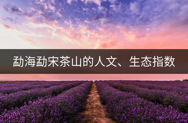 勐海勐宋茶山的人文、生態(tài)指數(shù)