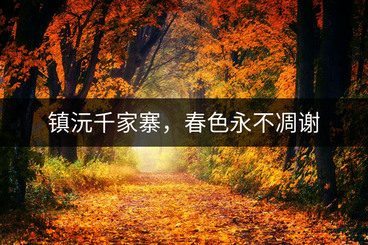 鎮(zhèn)沅千家寨，春色永不凋謝