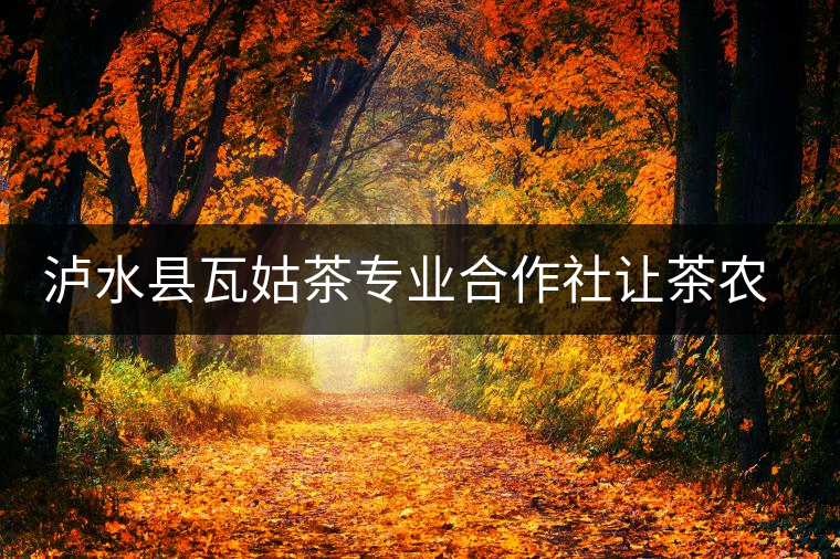 瀘水縣瓦姑茶專(zhuān)業(yè)合作社讓茶農(nóng)走上致富路 瀘水縣瓦姑茶專(zhuān)業(yè)合作社讓茶農(nóng)走上致富路