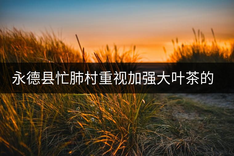 永德縣忙肺村重視加強大葉茶的采摘和無公害管理 永德縣忙肺村重視加強大葉茶的采摘和無公害管理