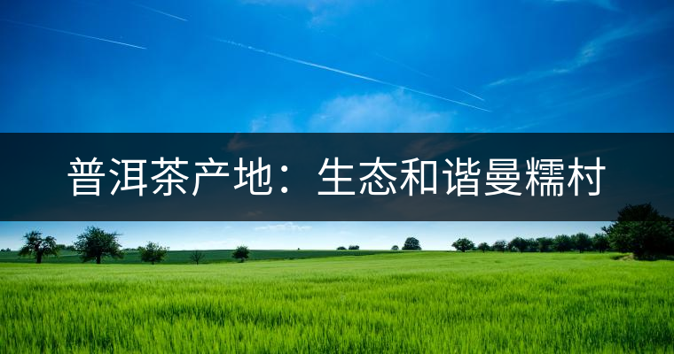 普洱茶產(chǎn)地：生態(tài)和諧曼糯村