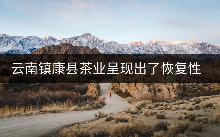 云南鎮(zhèn)康縣茶業(yè)呈現(xiàn)出了恢復性增長的態(tài)勢