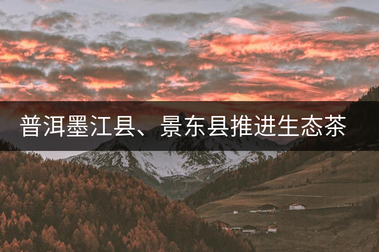 普洱墨江縣、景東縣推進(jìn)生態(tài)茶園建設(shè)
