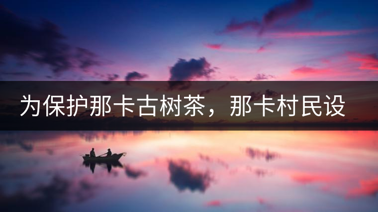 為保護(hù)那卡古樹茶，那卡村民設(shè)公約牌