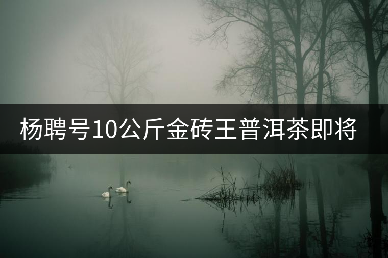 楊聘號10公斤金磚王普洱茶即將面世 楊聘號10公斤金磚王普洱茶即將面世