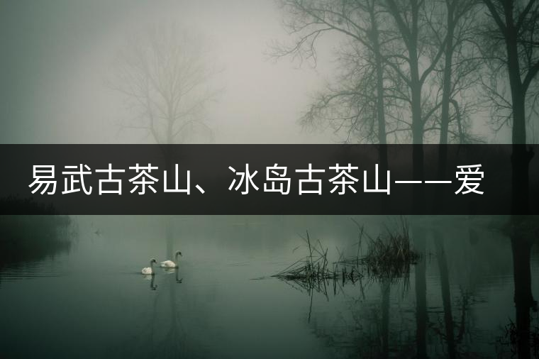 易武古茶山、冰島古茶山——愛茶人的旅游選擇