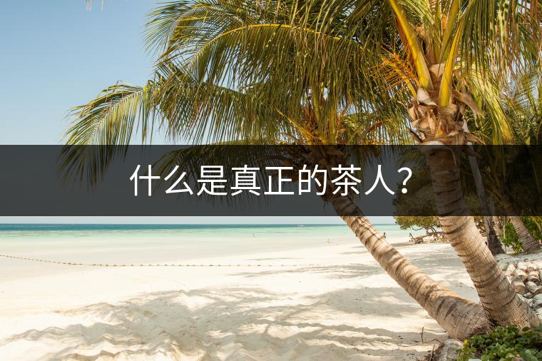 什么是真正的茶人？