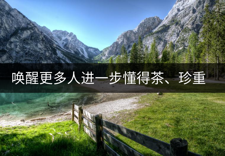 喚醒更多人進(jìn)一步懂得茶、珍重茶、享受茶