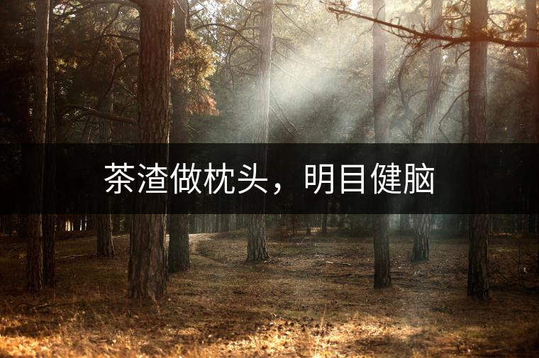茶渣做枕頭，明目健腦