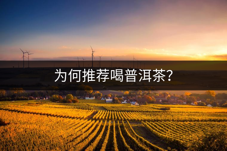 為何推薦喝普洱茶？