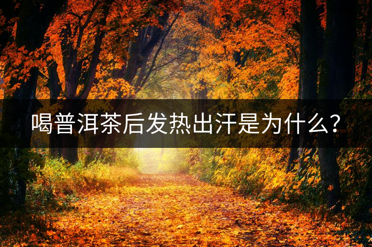 喝普洱茶后發(fā)熱出汗是為什么？