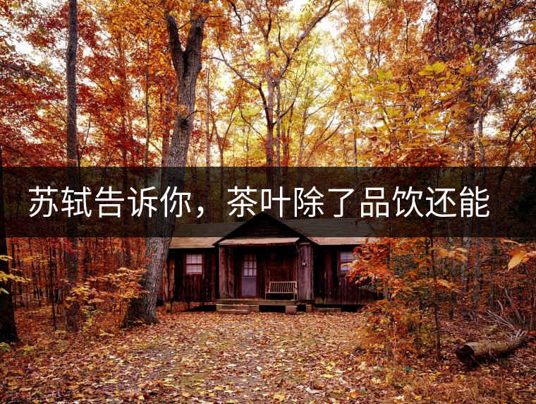 蘇軾告訴你，茶葉除了品飲還能做什么？