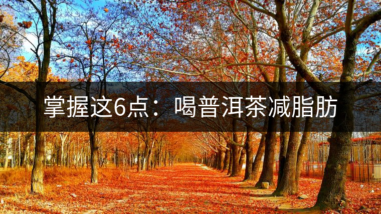 掌握這6點:喝普洱茶減脂肪 掌握這6點:喝普洱茶減脂肪