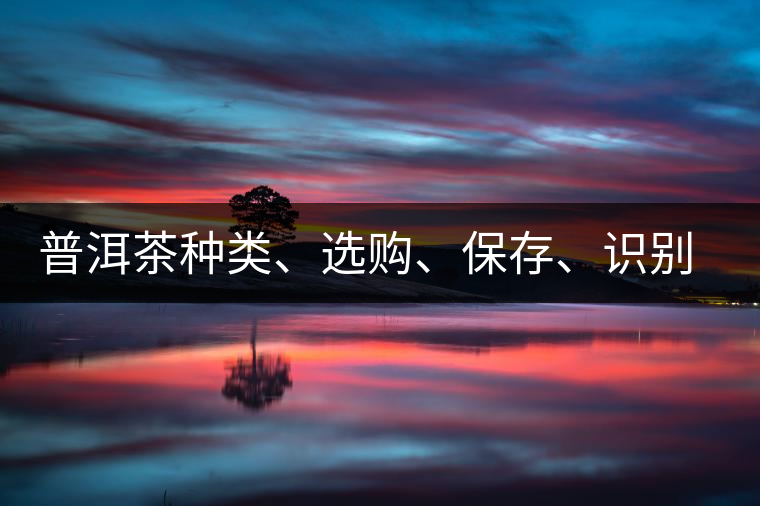 普洱茶種類、選購、保存、識別、沖泡