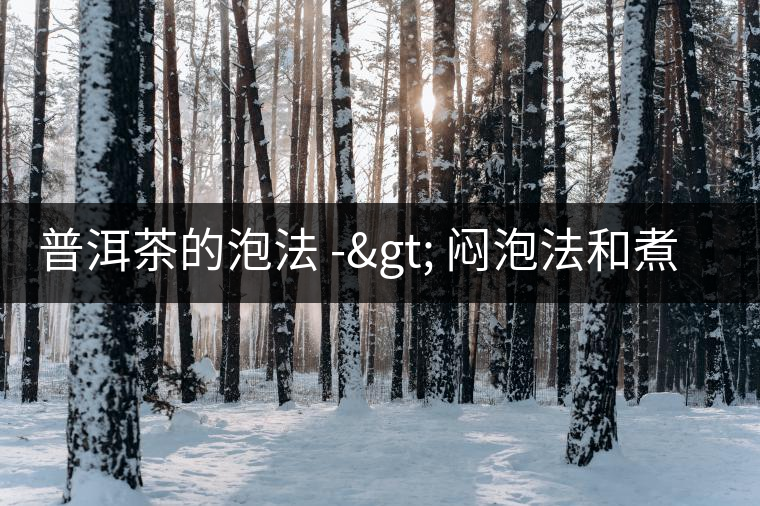 普洱茶的泡法 -> 悶泡法和煮茶法