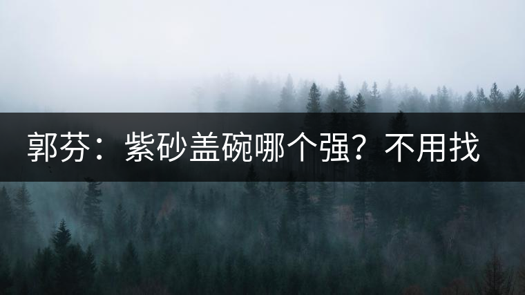 郭芬：紫砂蓋碗哪個強(qiáng)？不用找藍(lán)翔