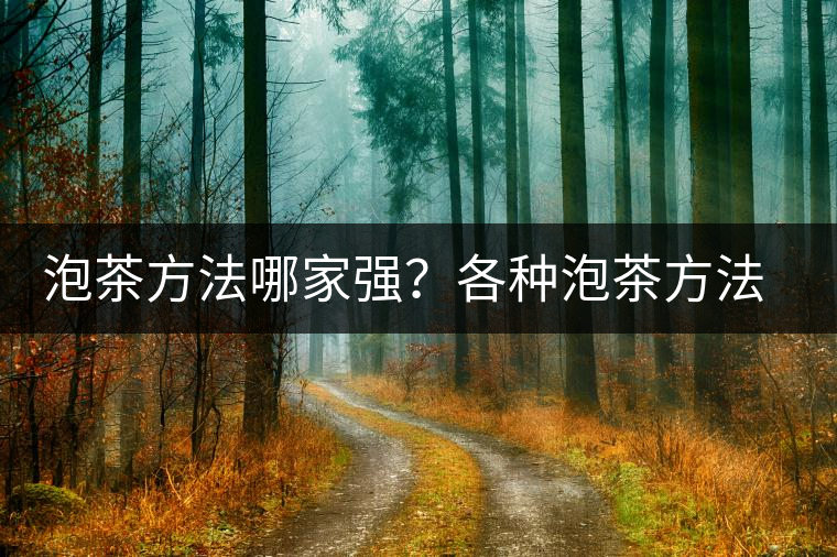 泡茶方法哪家強(qiáng)？各種泡茶方法介紹