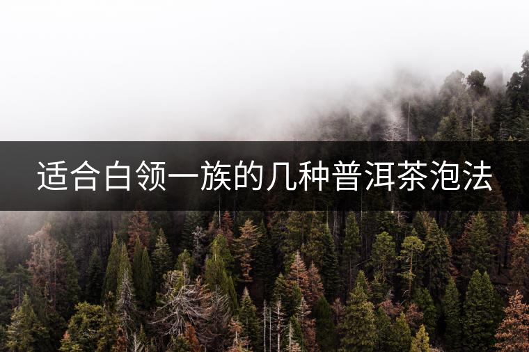 適合白領(lǐng)一族的幾種普洱茶泡法