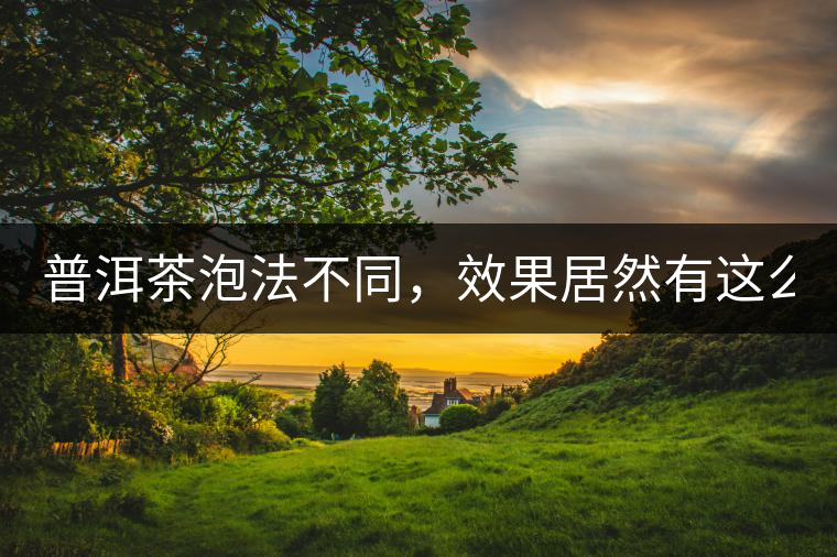 普洱茶泡法不同，效果居然有這么大區(qū)別！