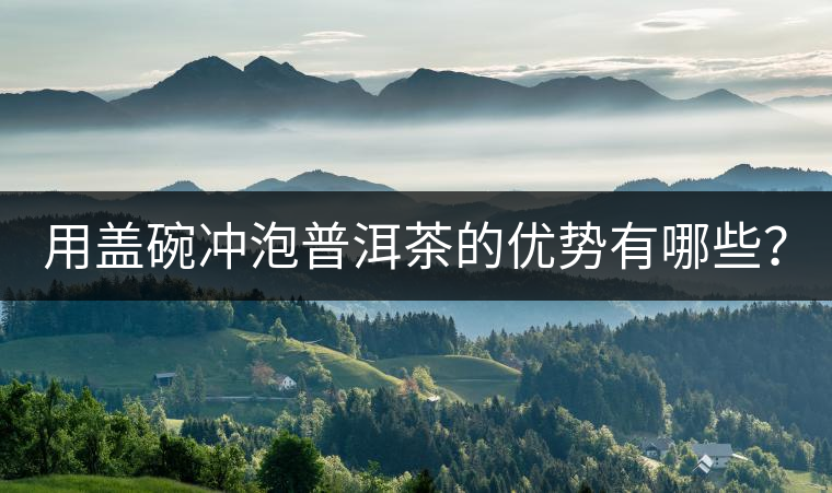 用蓋碗沖泡普洱茶的優(yōu)勢(shì)有哪些？