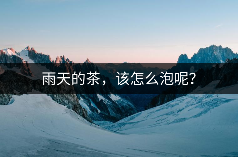 雨天的茶，該怎么泡呢？