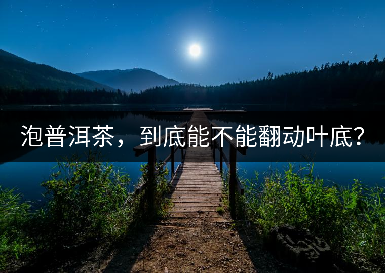 泡普洱茶，到底能不能翻動(dòng)葉底？