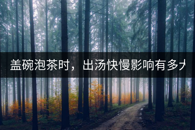 蓋碗泡茶時，出湯快慢影響有多大？