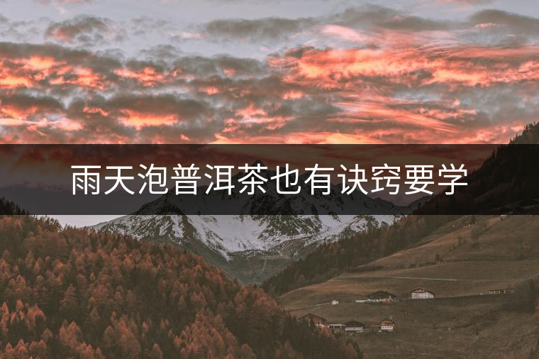 雨天泡普洱茶也有訣竅要學