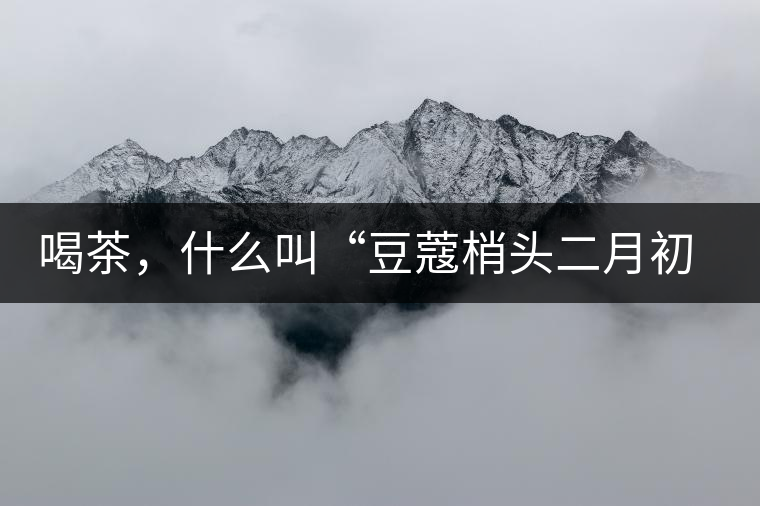 喝茶，什么叫“豆蔻梢頭二月初”？