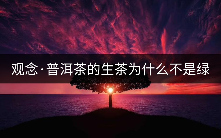 觀念·普洱茶的生茶為什么不是綠茶？