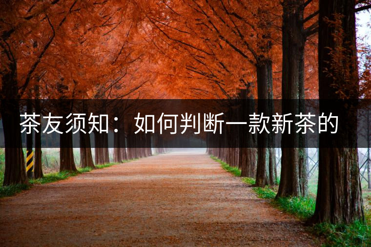 茶友須知：如何判斷一款新茶的陳化潛力？