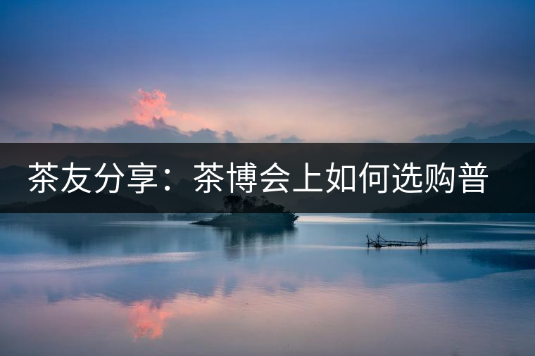 茶友分享：茶博會(huì)上如何選購(gòu)普洱茶？