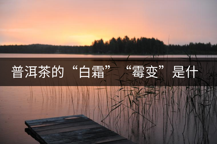 普洱茶的“白霜”“霉變”是什么鬼？