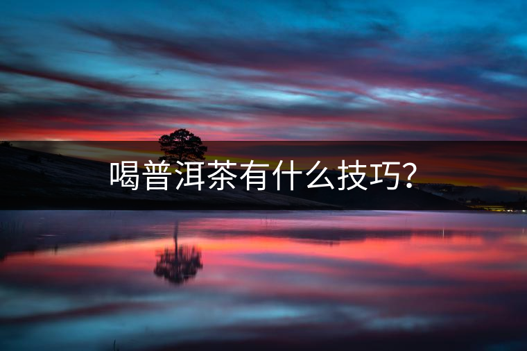 喝普洱茶有什么技巧？