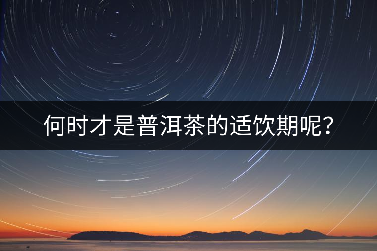 何時才是普洱茶的適飲期呢？