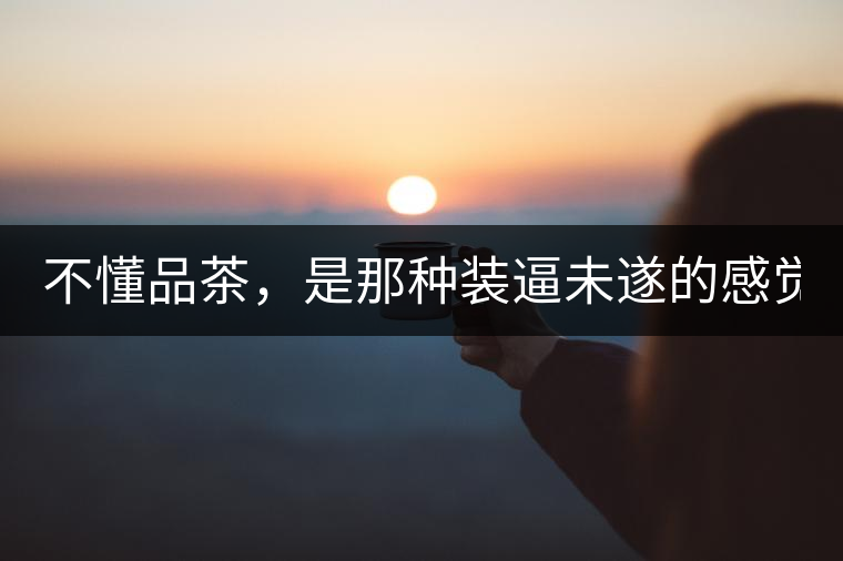 不懂品茶，是那種裝逼未遂的感覺(jué)？