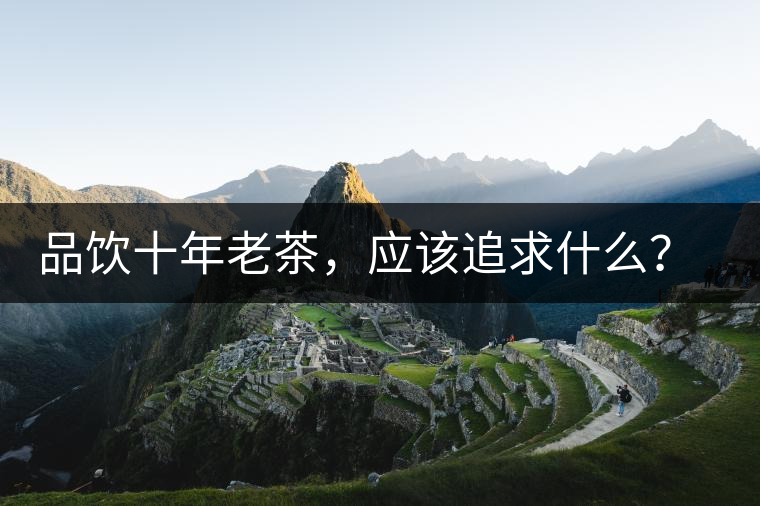 品飲十年老茶，應該追求什么？滋味還是故事？