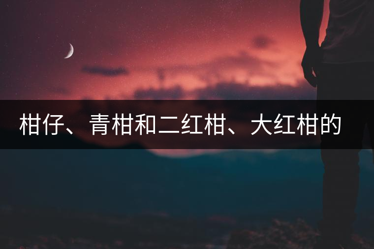 柑仔、青柑和二紅柑、大紅柑的區(qū)別，你可知道？