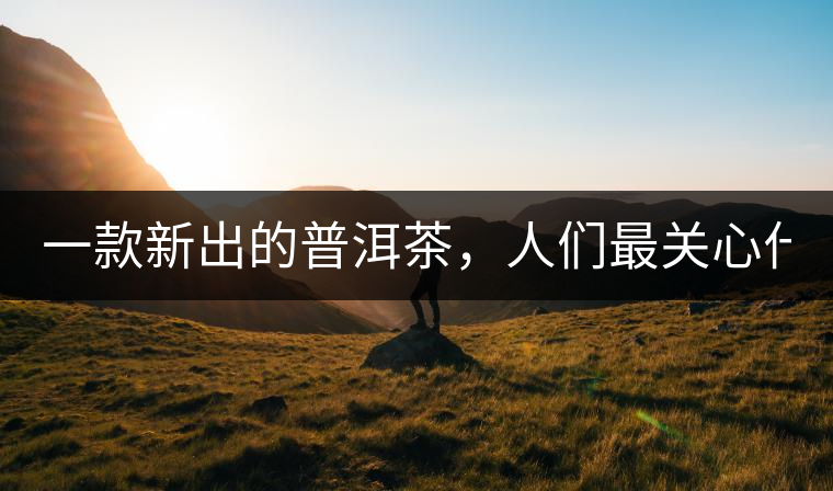 一款新出的普洱茶，人們最關(guān)心什么?