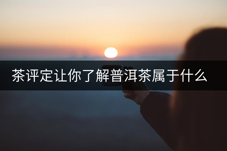 茶評(píng)定讓你了解普洱茶屬于什么茶系？