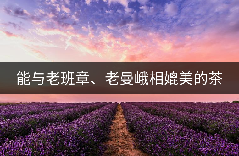 能與老班章、老曼峨相媲美的茶