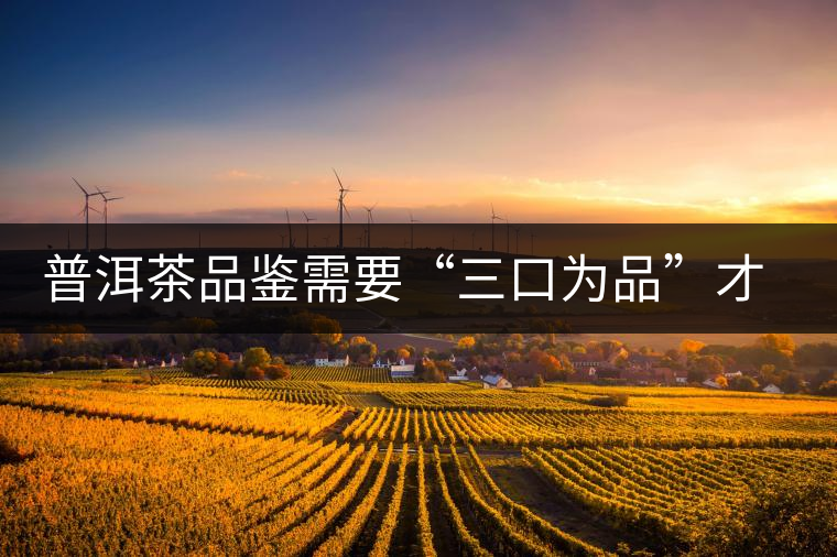 普洱茶品鑒需要“三口為品”才真實，那從哪里入手品鑒呢？