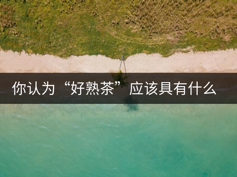 你認(rèn)為“好熟茶”應(yīng)該具有什么樣的標(biāo)準(zhǔn)？