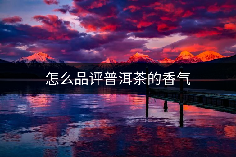 怎么品評(píng)普洱茶的香氣 怎么品評(píng)普洱茶的香氣